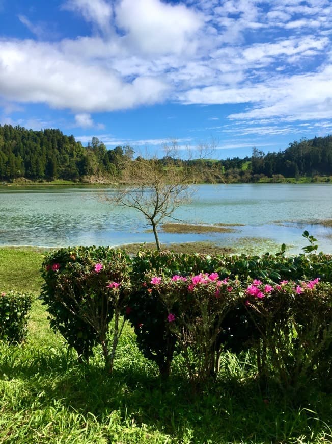 Place Furnas Lake