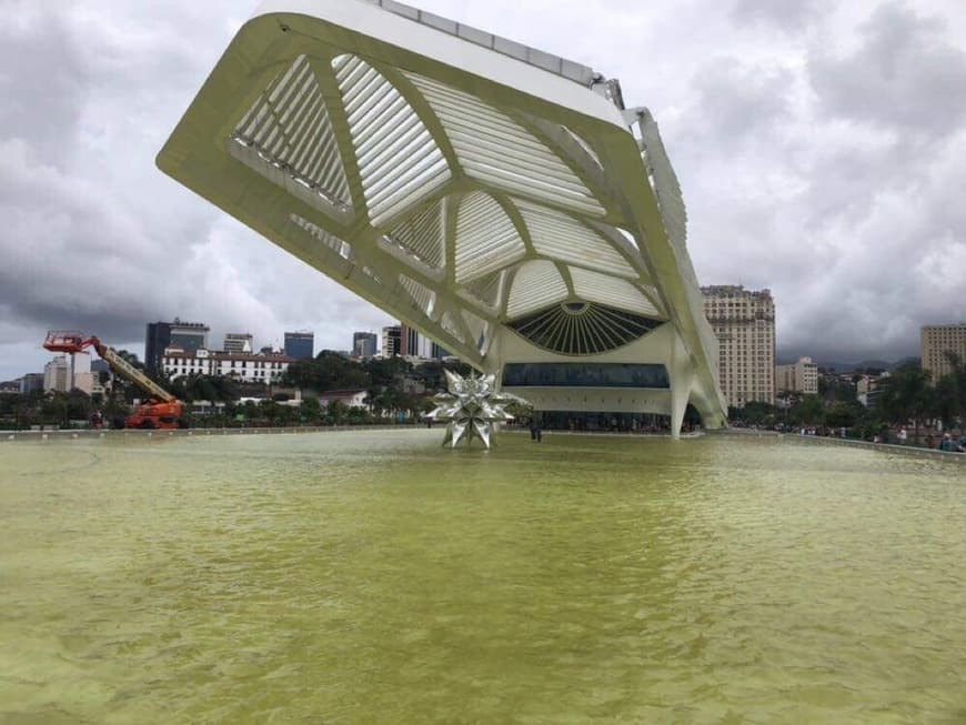 Place Museo del Mañana