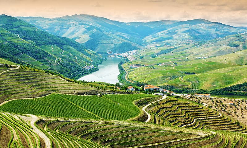 Lugar Douro