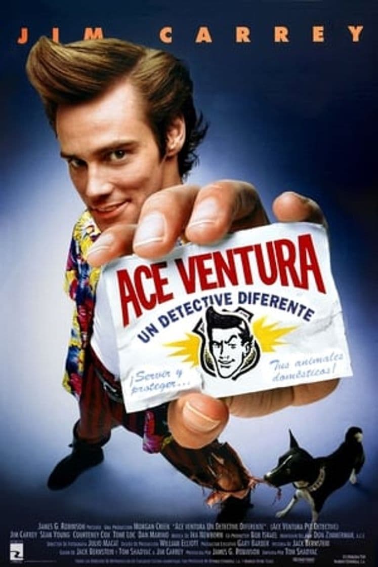 Película Ace Ventura: Pet Detective