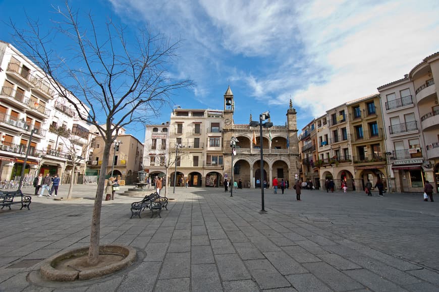 Place Plaza Mayor de Plasencia