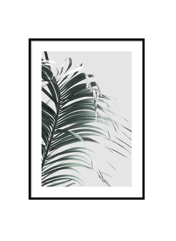 Product French Palm Leaf Poster