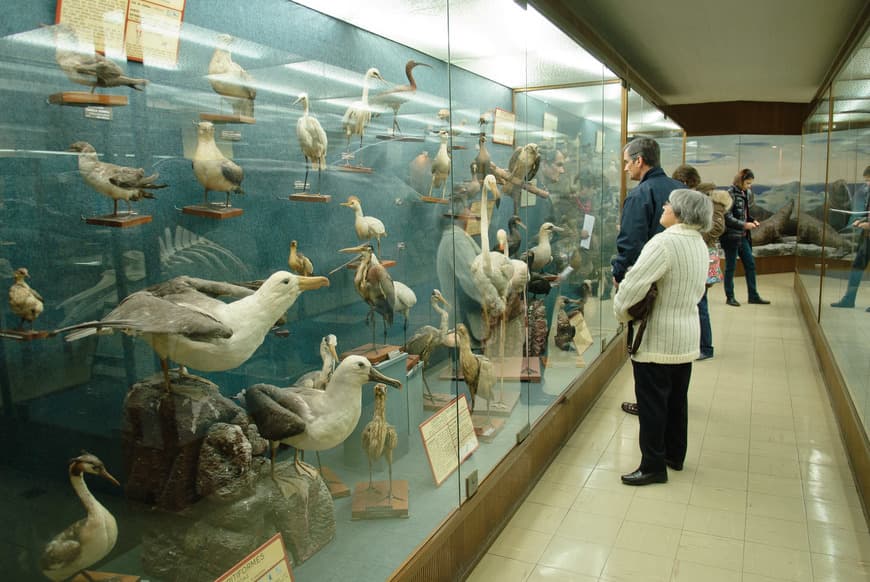 Lugar Aquário Vasco da Gama