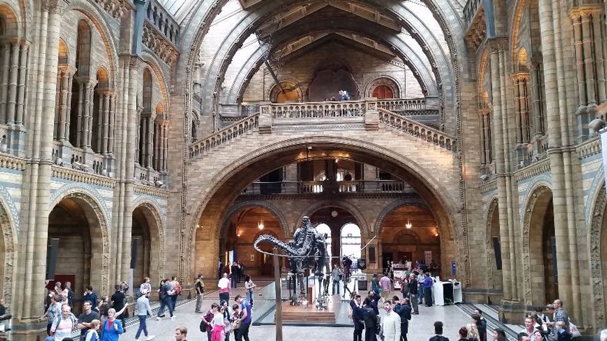 Lugar Natural History Museum