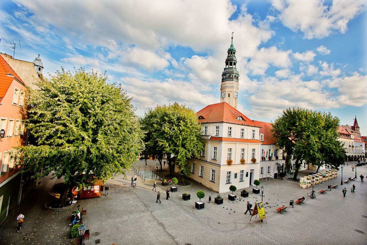 Place Zielona Gora