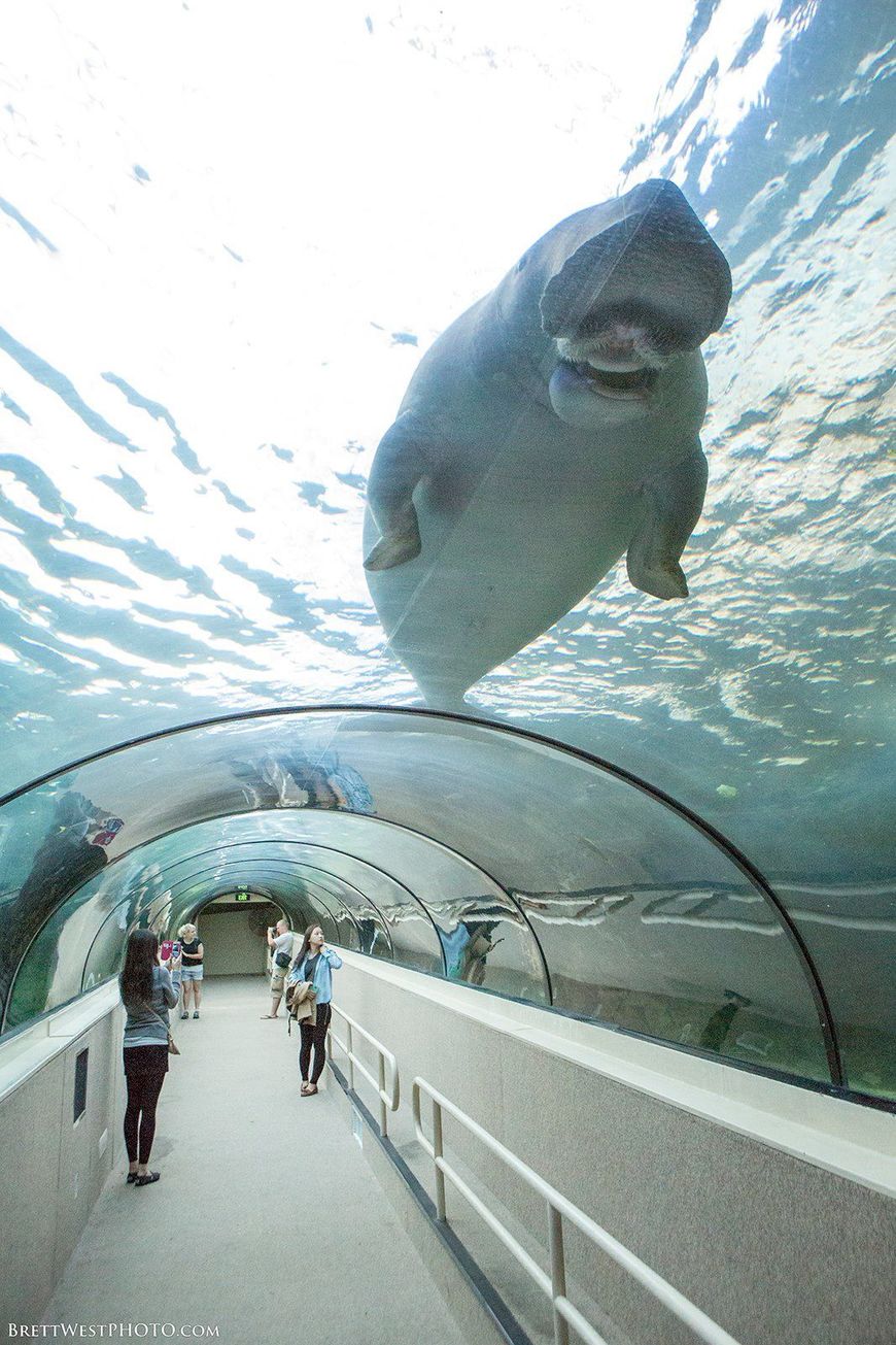 Place SEA LIFE Sydney Aquarium