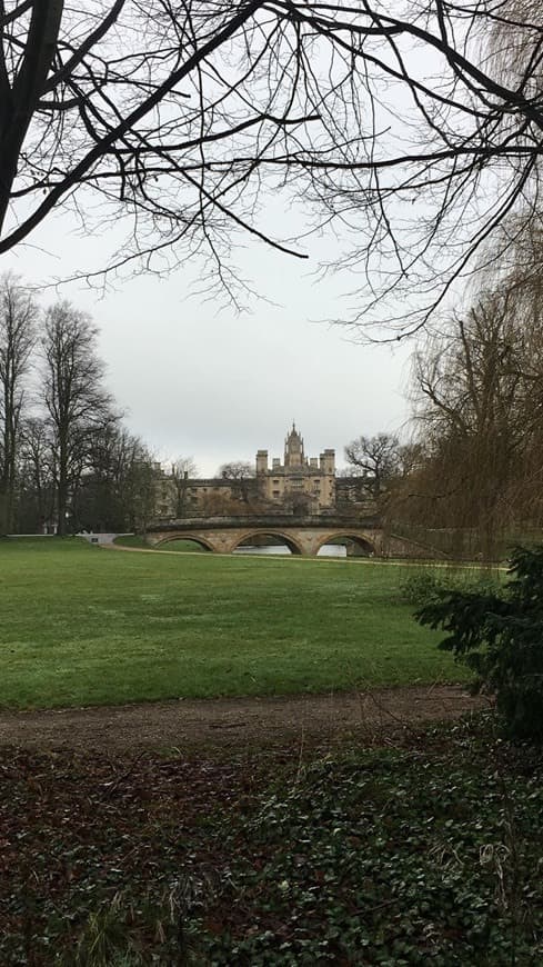 Place King's College School, Cambridge