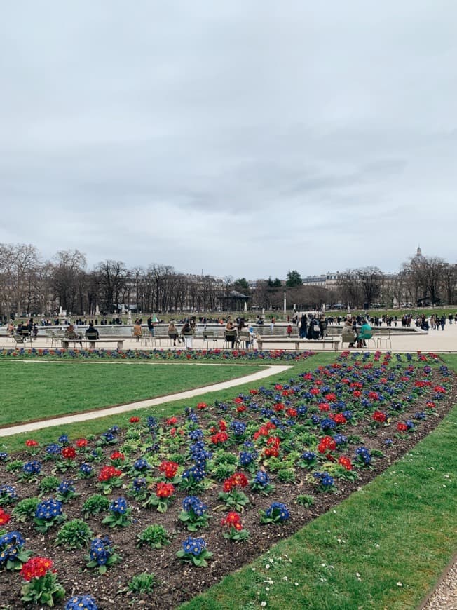 Lugar Jardines de Luxemburgo