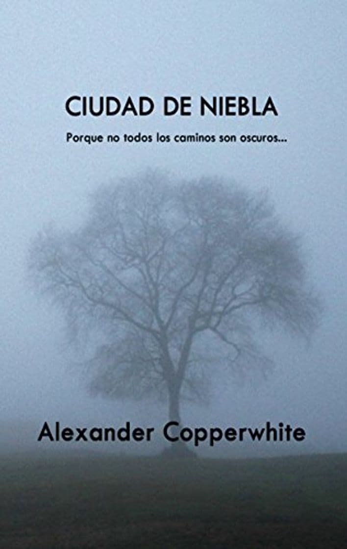 Book Ciudad de niebla: Un encuentro inesperado