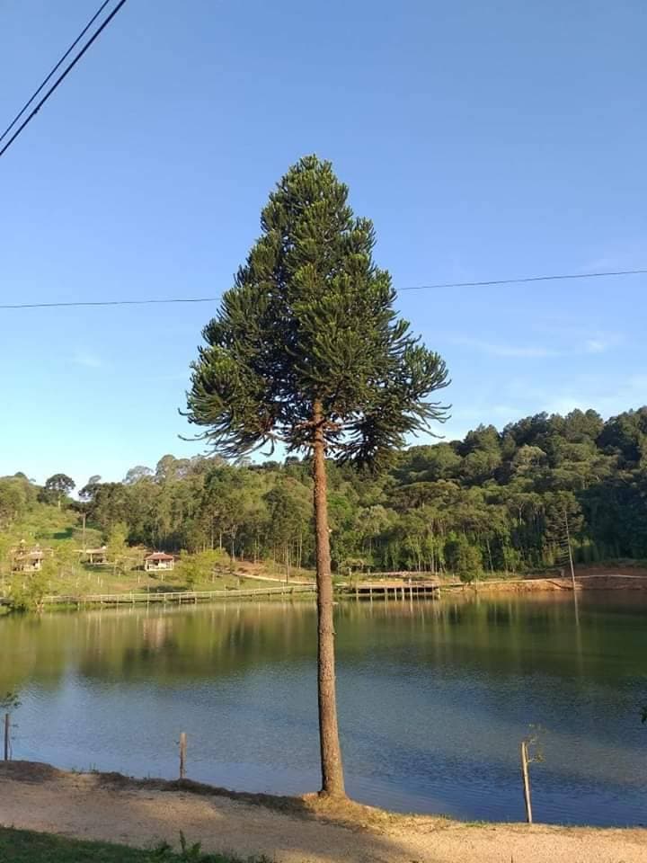 Place Parque Ambiental Aníbal Khury