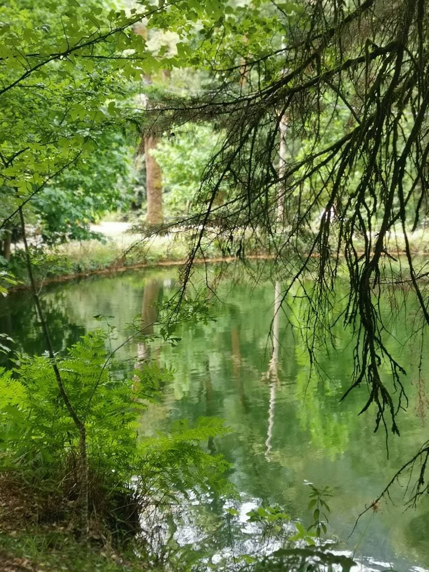 Place Gerês