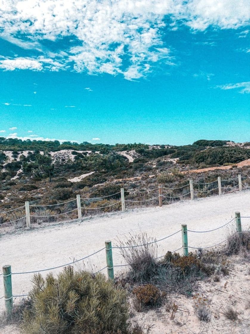 Lugar Beach Pêgo