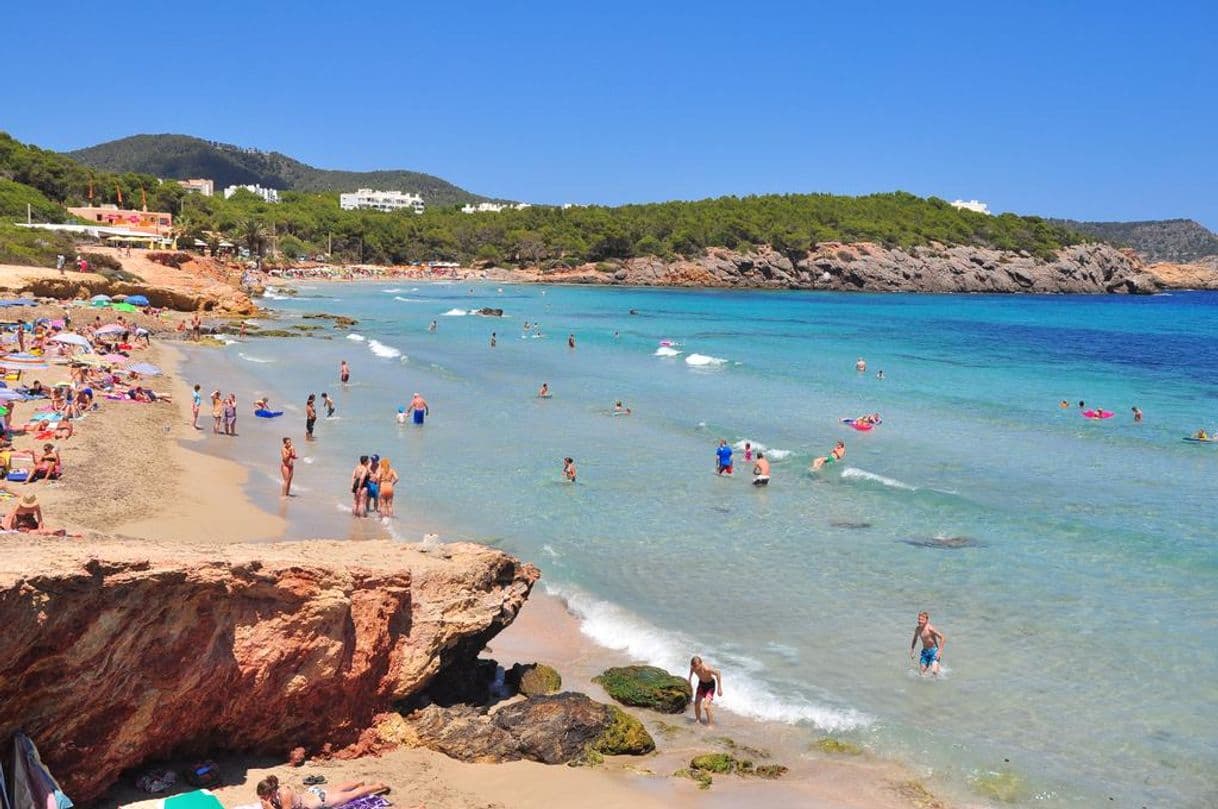 Place Cala Nova Beach