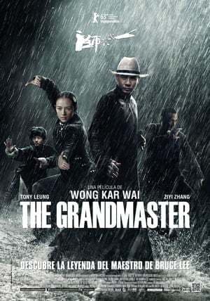 Película The Grandmaster