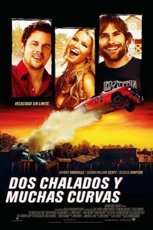 Película The Dukes of Hazzard