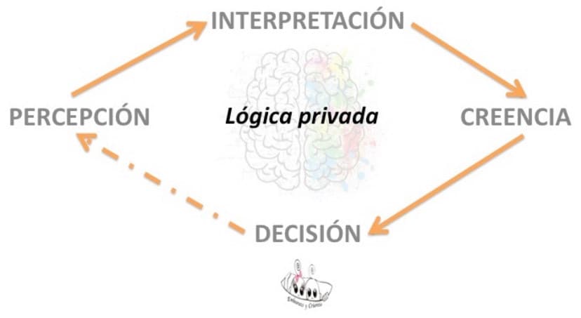 Moda Qué es la lógica privada y cómo puede influir en educación 