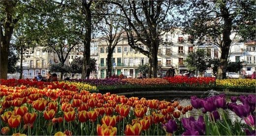 Lugar Jardim de Marques de Oliveira