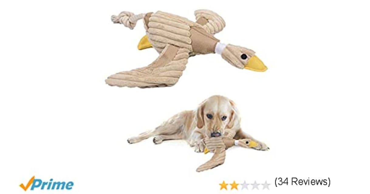 Moda perros juguetes para perros perros juguetes interactivos: Amazon.es ...