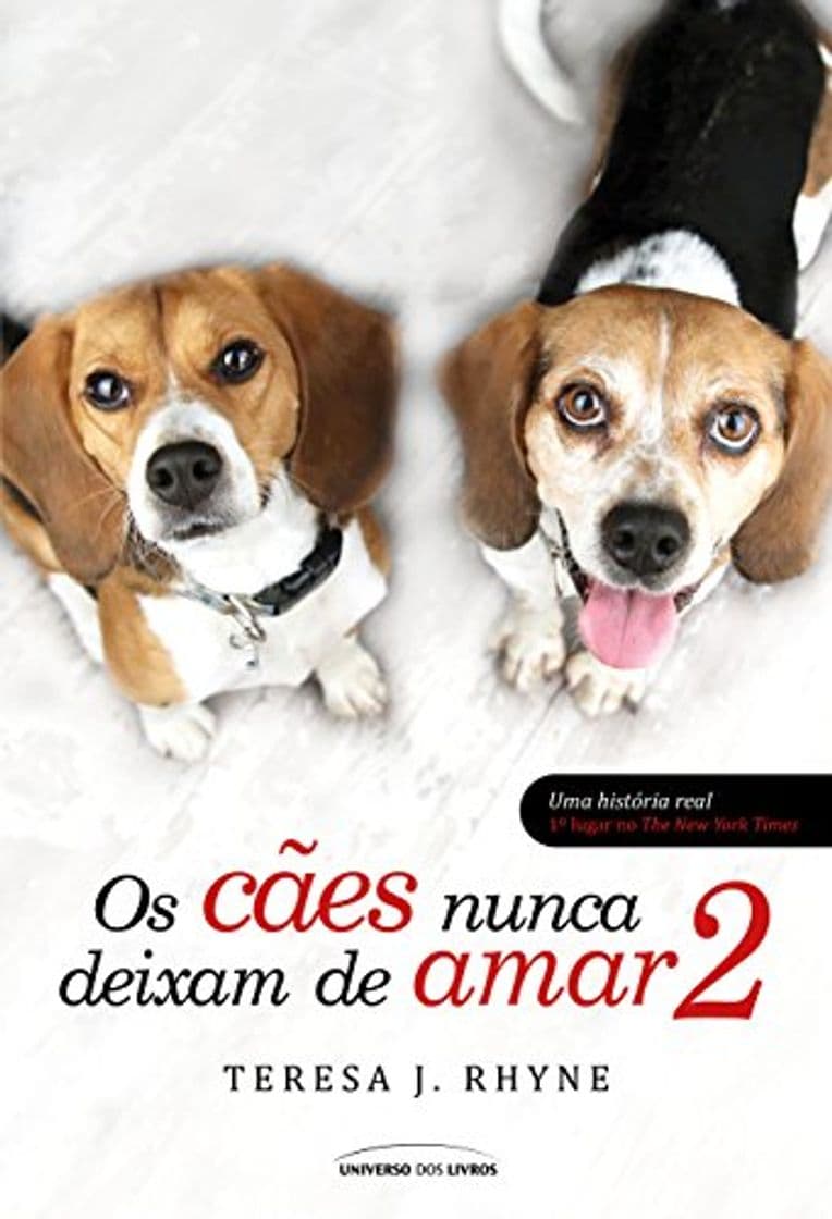 Book Os Cães nunca deixam de Amar