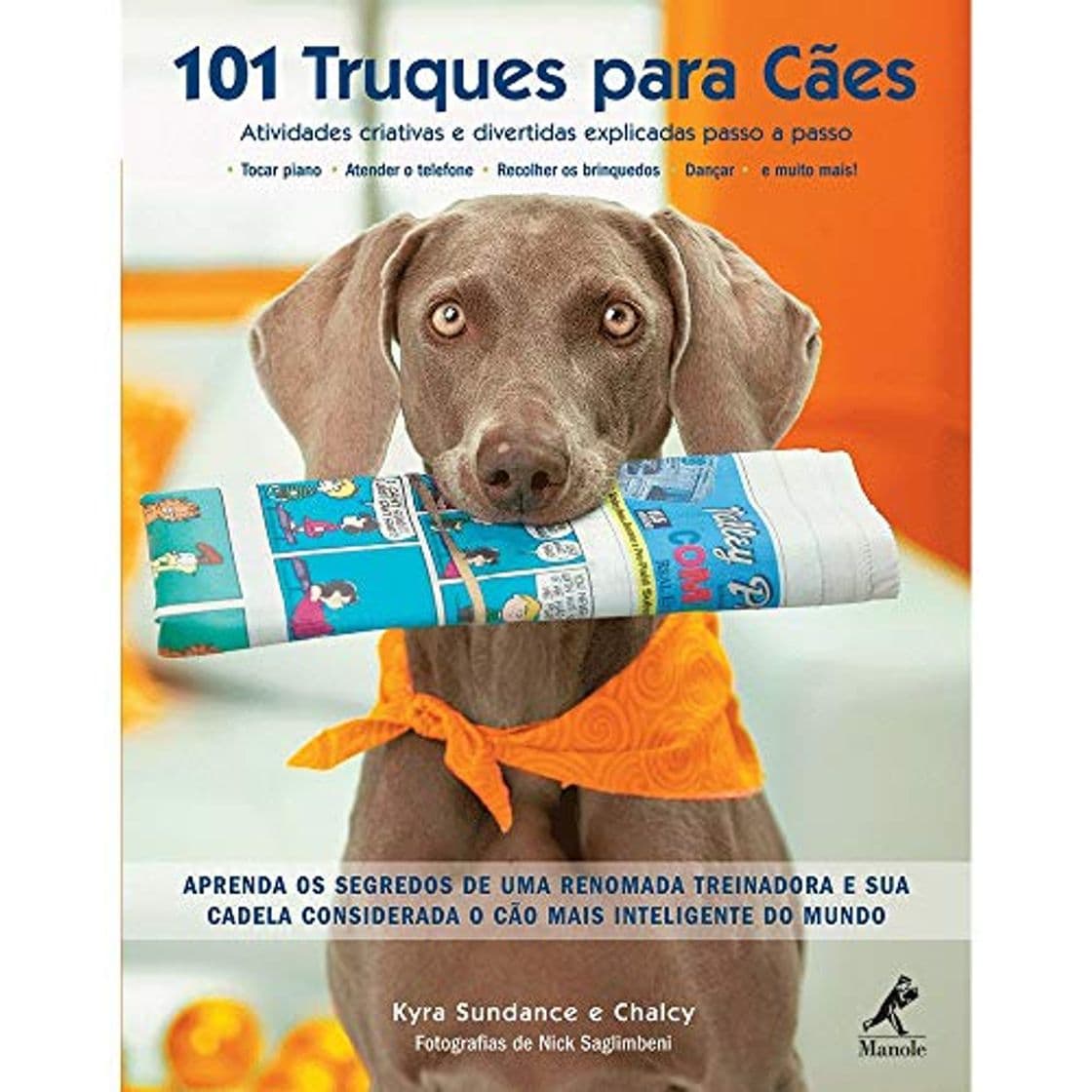 Libro 101 Truques para Cães