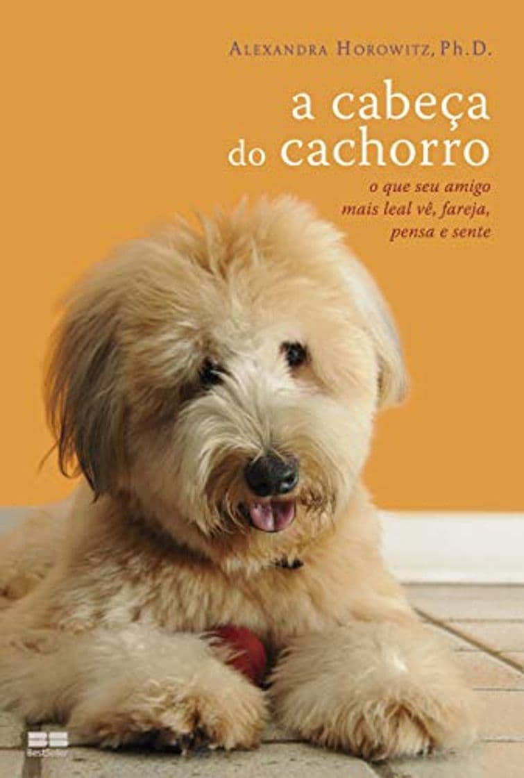 Libro A Cabeça Do Cachorro