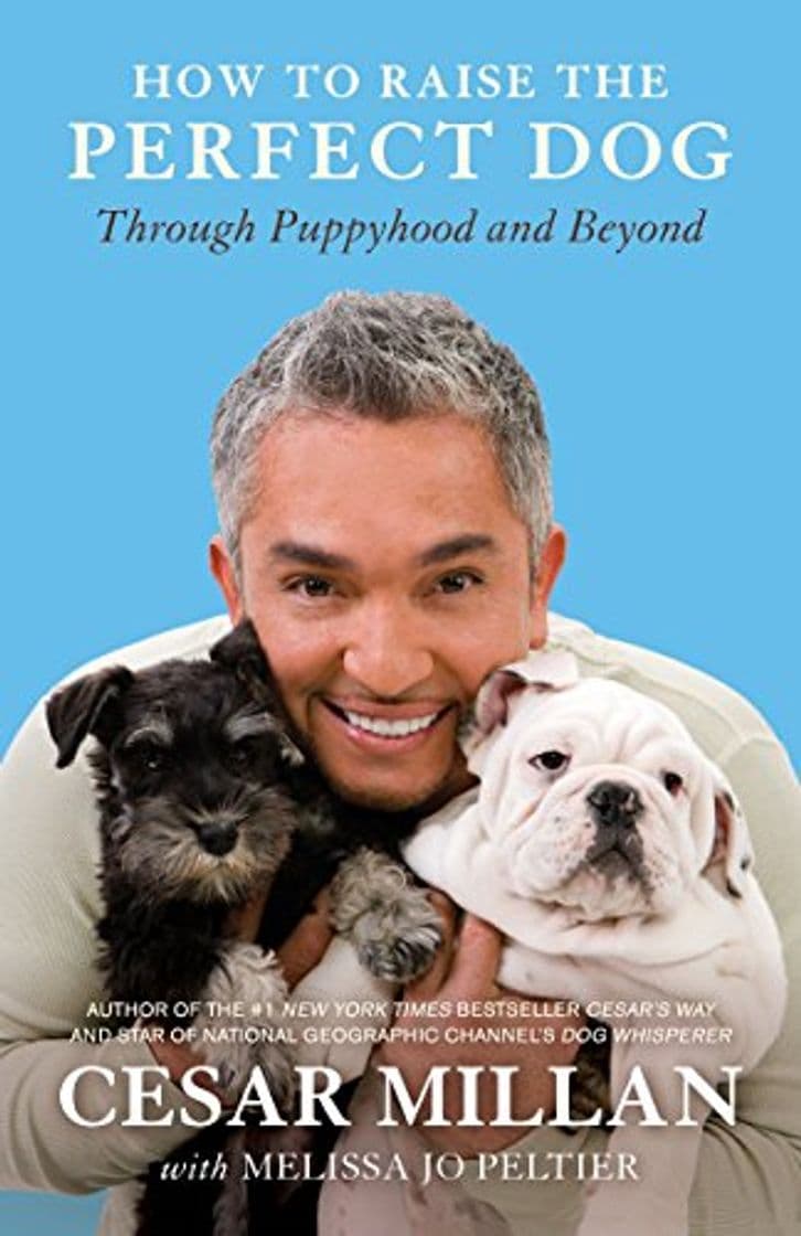 Libro How to Raise the Perfect Dog