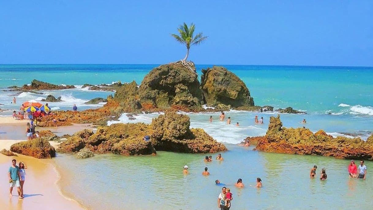 Lugar Praia de Tambaba