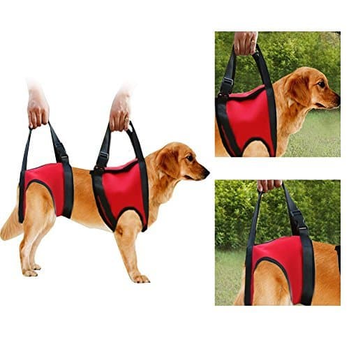 Place Filfeel Soporte para perros Arnés Pet Walking Ayuda Lifting Pulling Vest Sling