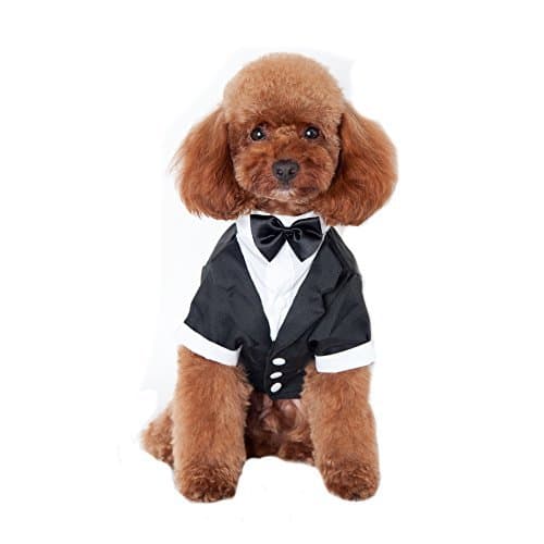 Lugar Keysui Mascotas fiesta traje Formal traje ropa abrigo para perros ropa