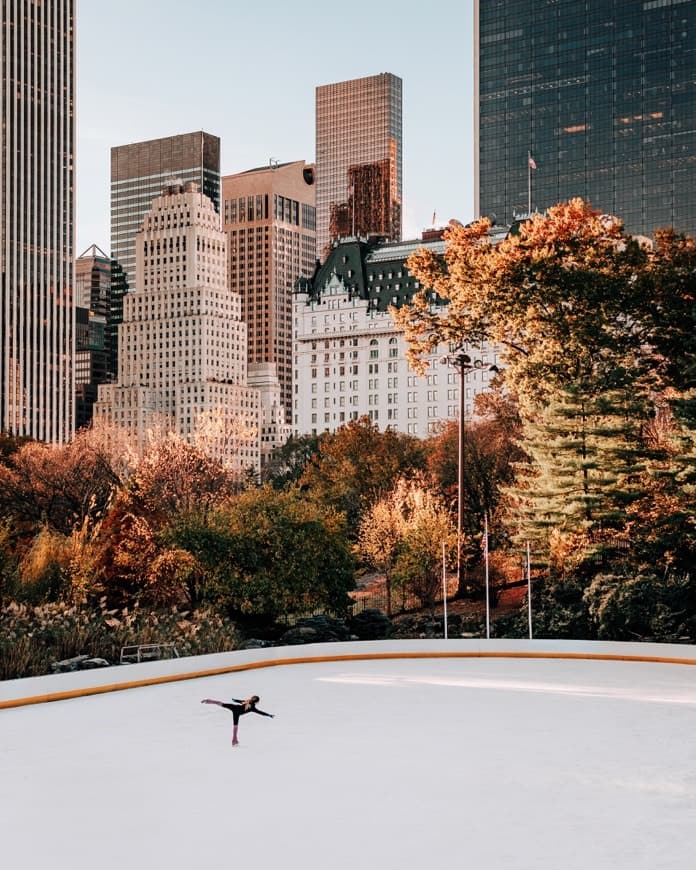 Place Wollman Rink