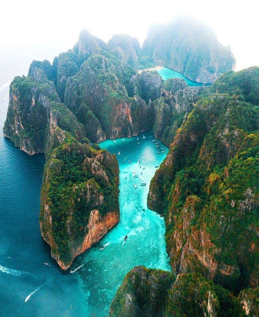 Lugar Ko Phi Phi Lee