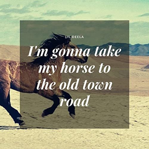 Music I'm Gonna Take My Horse to the Old Town Road