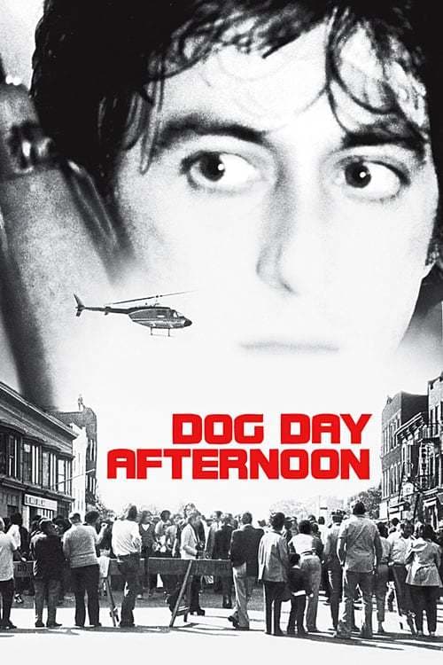 Movie Dog Day Afternoon