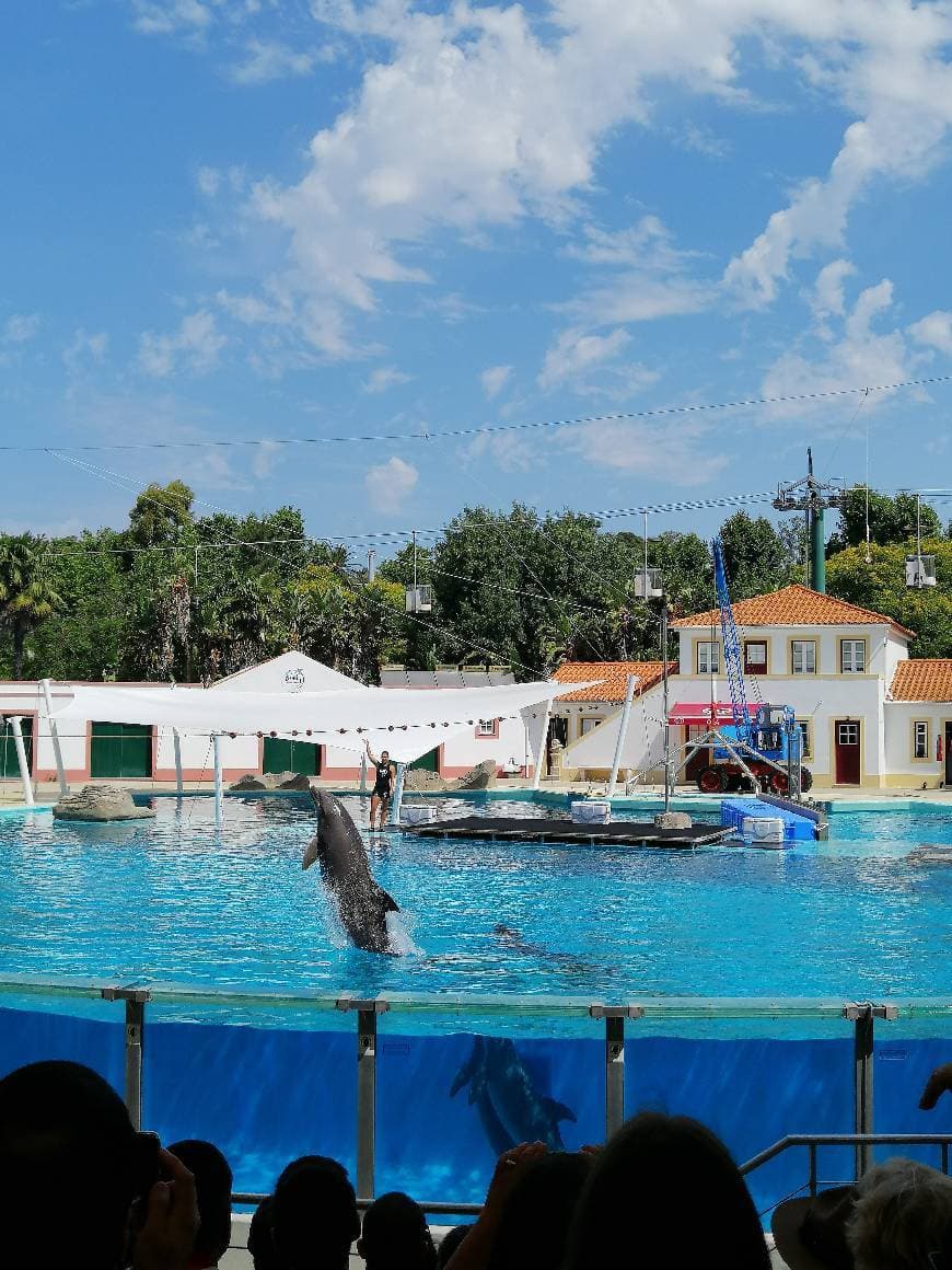 Lugar Jardim Zoológico de Lisboa