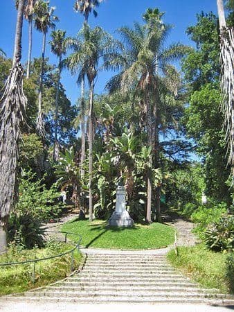 Place Jardín Botánico de la Universidad de Lisboa