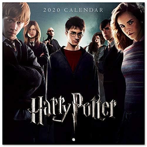 Product ERIK - Calendario de pared 2020 Harry Potter, 30 x 30 cm