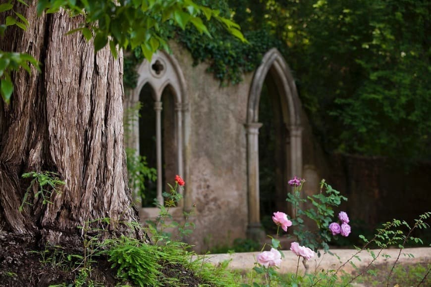 Lugar Jardins da Quinta das Lágrimas