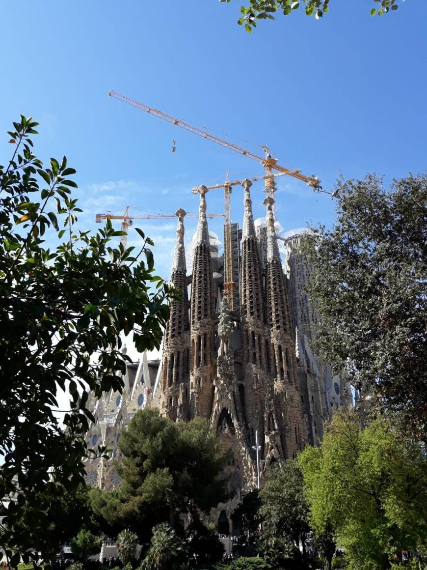 Lugar Basílica Sagrada Familia