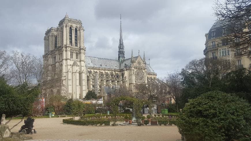 Lugar Catedral de Notre Dame