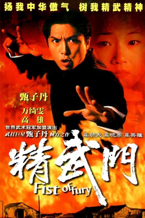 Serie Fist of Fury