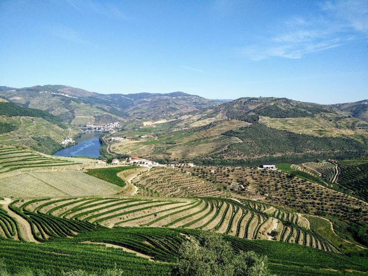 Place Ervedosa do Douro