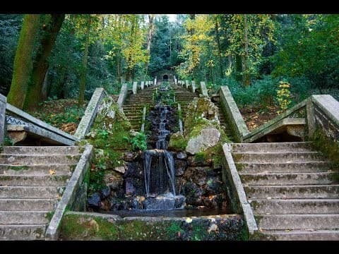 Lugar Mata Nacional do Buçaco