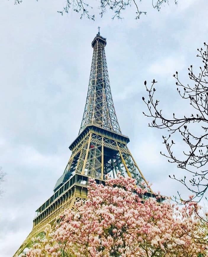 Lugar Torre Eiffel