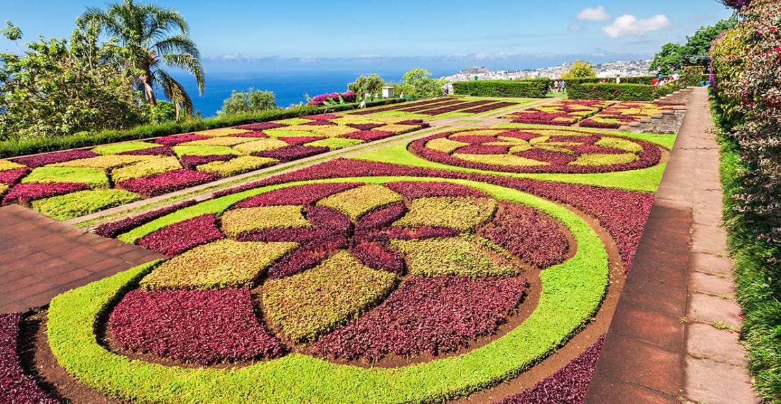 Lugar Jardín Botánico de Madeira