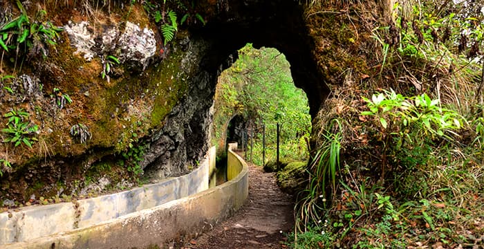 Lugar PR10 Levada do Furado - Ribeiro Frio - Portela