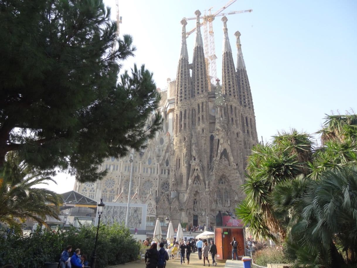 Lugar Basílica Sagrada Familia