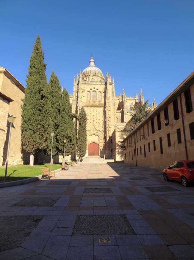 Lugar Catedral de Salamanca