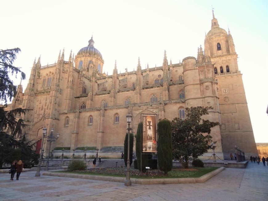 Lugar Catedral Vieja de Salamanca