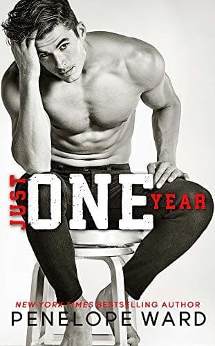 Libro Just One Year