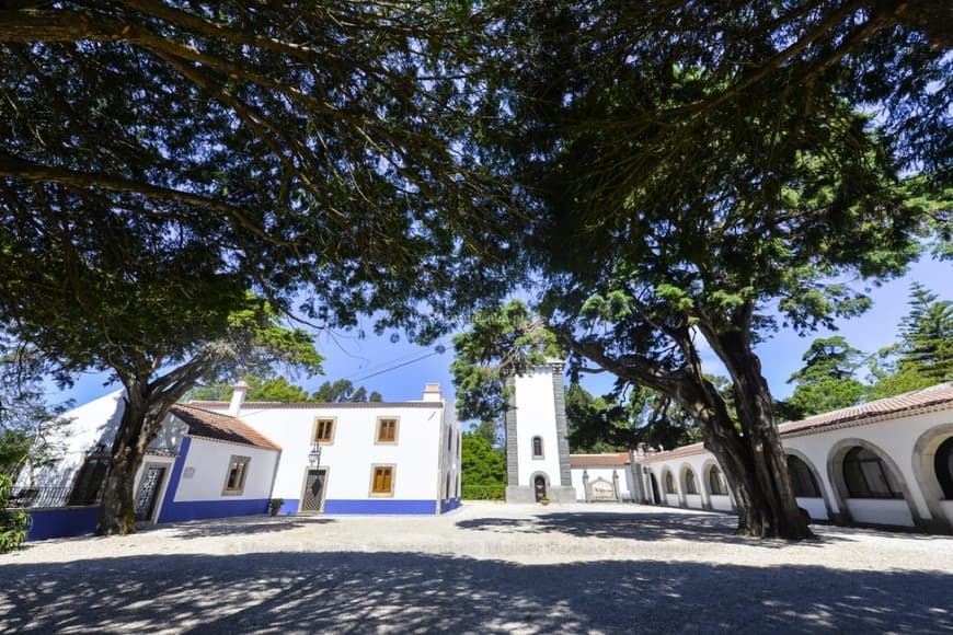 Lugar Quinta da Serra